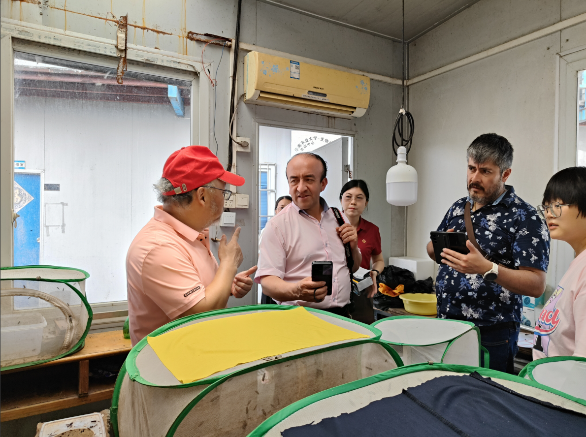 1722324873806035.png image.png